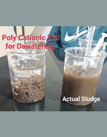 Polyelectrolyte(Cationic)