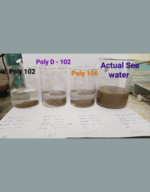 Polyelectrolyte(Anionic)